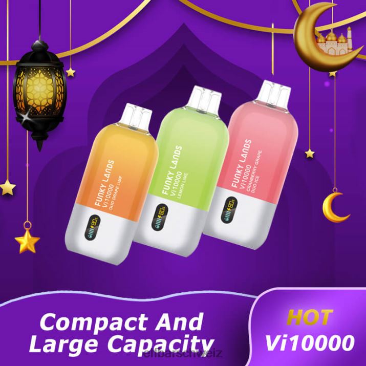 Funky Lands Einweg-Vape VI10000 Züge Blaubeer-Rosen-Minze ELFBAR 8T2RT163
